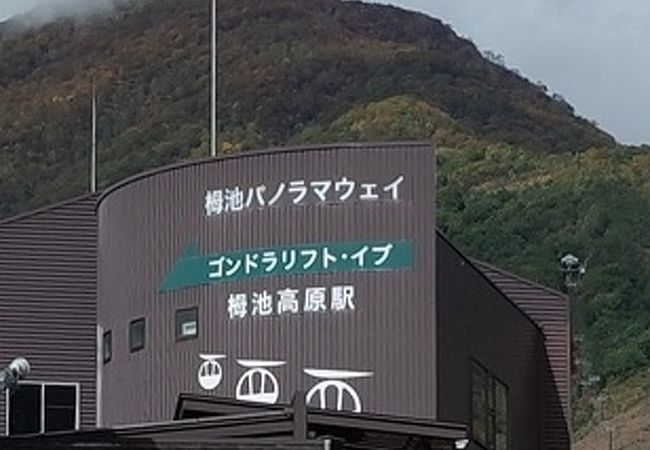 栂池パノラマウェイ　いろいろセット券あり