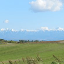 セブンスターの木からの十勝岳連峰