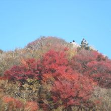 ロープウェイから上った山の上にも展望台がありました