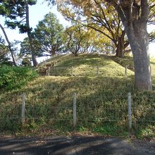 野毛大塚古墳全景