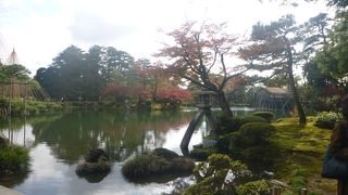 紅葉が綺麗でした