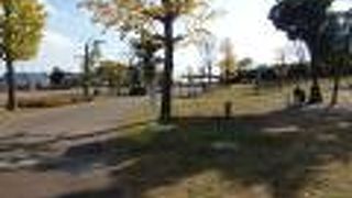 等々力渓谷・野毛散策で二子玉川公園に寄りました