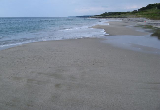 砂浜は広く綺麗