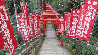 リスの鳴き声がこだまする佐助稲荷神社