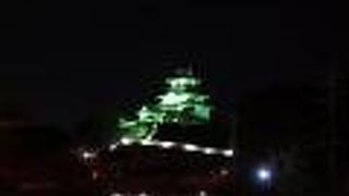 ミドリのライトアップ！