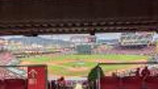 楽しい球場です！