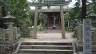 天橋立の砂州の中