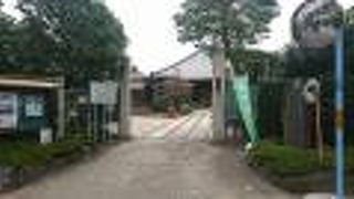 綺麗に整備された境内