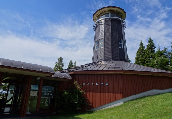 自然のパワースポット、湧水は全国名水百選の一つ