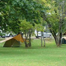 併設されてる女満別キャンプ場