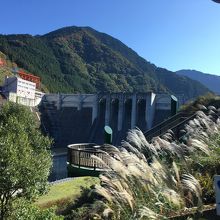 車窓からです。