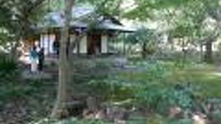 静寂の中の茶室