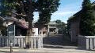 富士塚が残っています。