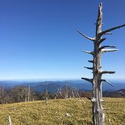 絶景！白木の立ち枯れと標高1695mの山頂からの360°の眺望