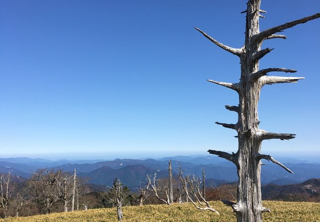 大台ヶ原 日出ヶ岳 クチコミ アクセス 営業時間 大台ヶ原 上北山 フォートラベル 大台ヶ原 日出ヶ岳 クチコミ アクセス 営業時間 大台ヶ原 上北山 フォートラベル
