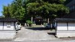 藩主公用の竹林がある