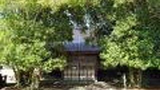 津世姫の菩提寺