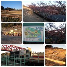 芦ケ池農業公園「サンテパルクたはら」