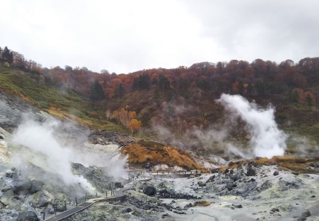 湯瀬温泉 八幡平 秋田側 のおすすめ観光スポット クチコミ人気ランキングtop フォートラベル 秋田県 湯瀬温泉 八幡平 秋田側 のおすすめ観光スポット クチコミ人気ランキングtop フォートラベル 秋田県