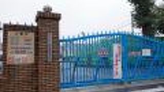 本格的なジェットコースターなどのある遊園地