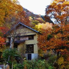 宿の周囲も紅葉がいっぱい