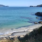 東日本大震災で消失した砂浜や松林を再生中