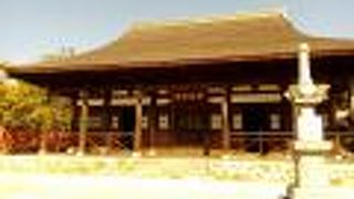 いろいろな仏像とお堂がみられます