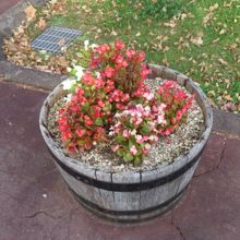 お花もあります