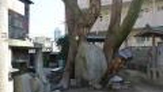 北野通に面してあります。