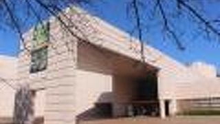 古生代、中生代（恐竜の時代）の充実した展示の博物館