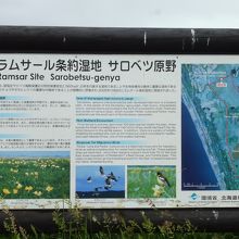 野鳥の保護区～