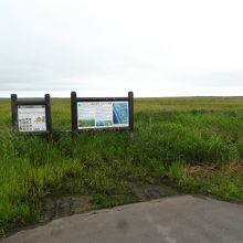 いや～だだっ広い