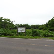 ゆっくり自然に回帰中！