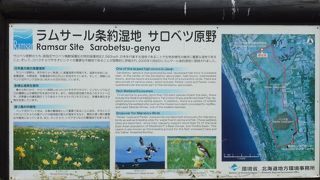 サロベツ自然再生事業