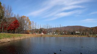 軽井沢駅前の多目的公園
