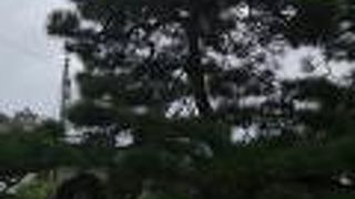 名の通りのエピソード