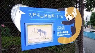 元気な動物たちに会える！