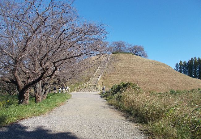 丸墓山古墳 クチコミ アクセス 営業時間 行田 羽生 加須 フォートラベル 丸墓山古墳 クチコミ アクセス 営業時間 行田 羽生 加須 フォートラベル