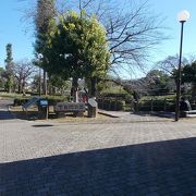 大きな公園です。