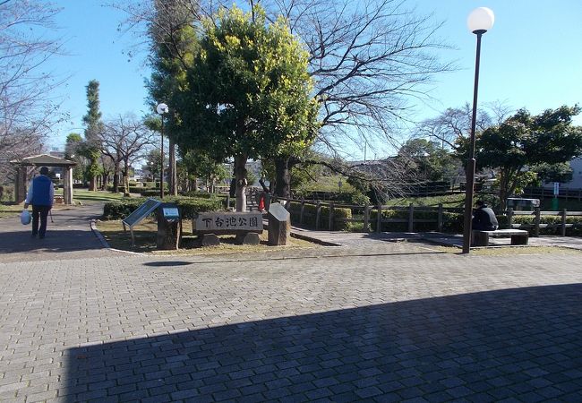 大きな公園です。