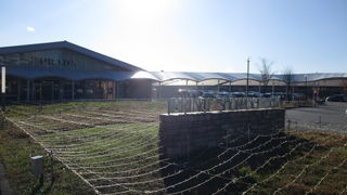 11月3日は大渋滞