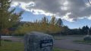 春は桜、秋は紅葉