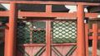 春日大社の末社