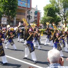 連が踊り歩く「うらじゃ祭」