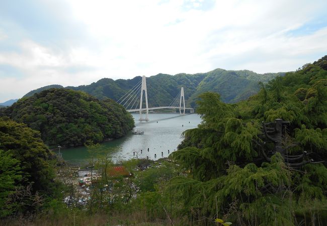 「岸壁の母」で有名