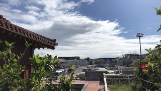 今度こそ見たい