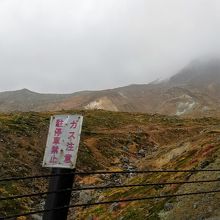 荒涼とした風景