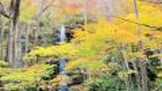 奥入瀬渓流トレッキング　滝巡りで白糸の滝