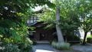 雨の夜はヒキガエルに注意