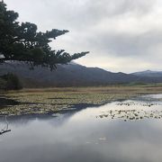 かつて牧場があったところ